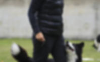 Festival dei Cani