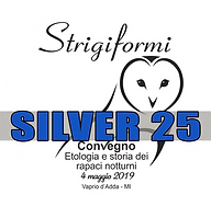 silver convegno.png