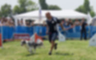 Festival dei Cani