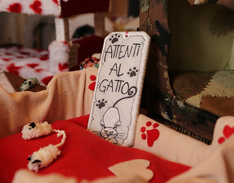 Festival dei Gatti mercatini