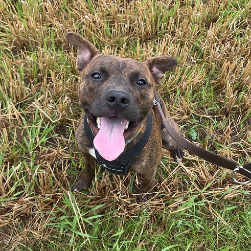 Rainbow 1_edited.jpg