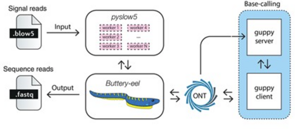 Multiprocessing in python