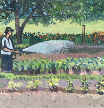 Oliver watering the potatoe plants