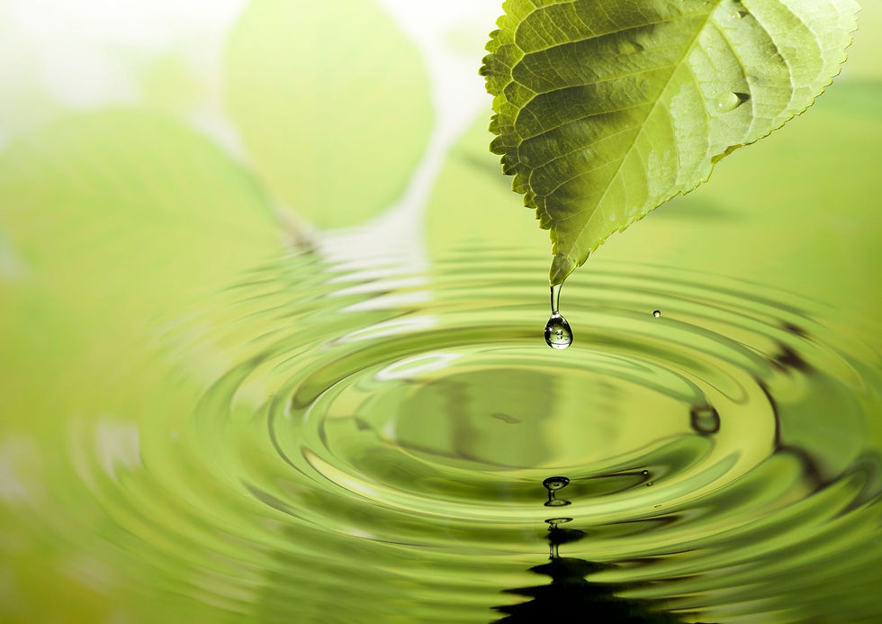 Heal Header 11