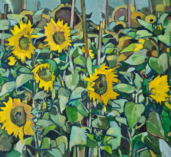 Sunflowers in blue sky