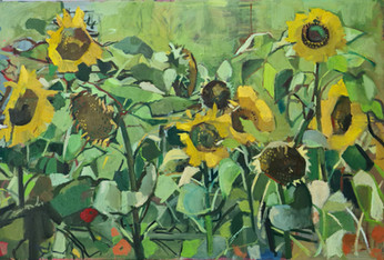 Sunflowers