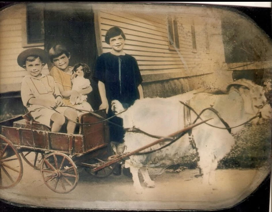 Frances, Helen, and Eugene Grosvenor as children with a goat cart in a yard, early 1920s family photograph