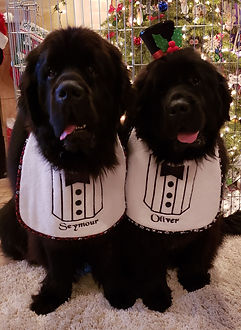 Seymour & Oliver tuxes.jpg