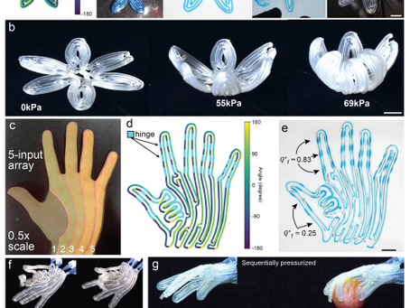 I was reading this news report from Harvard University called "3D Printing Soft Robots" the other day