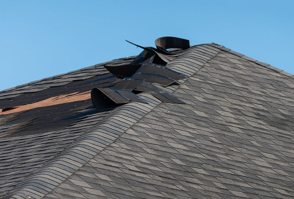 The Top 5 Things That Can Cause Roof Damage