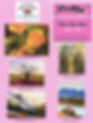 PMAA_Pink Shuffle Poster.jpg