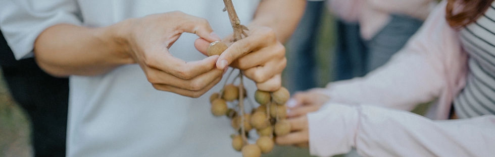 Promosi Deswiwta.00_14_33_17_edited.jpg