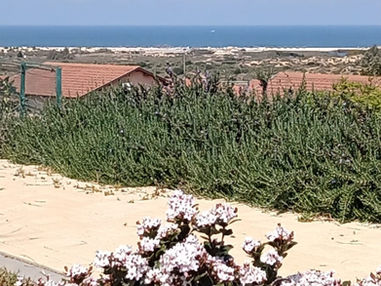 זיק של חיים לקיבוץ זיקים