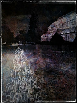 Serie "Come processionarie"