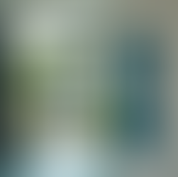 Navigating Healthcare Services: A Vital Life Guide