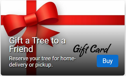 Screenshot (254).png