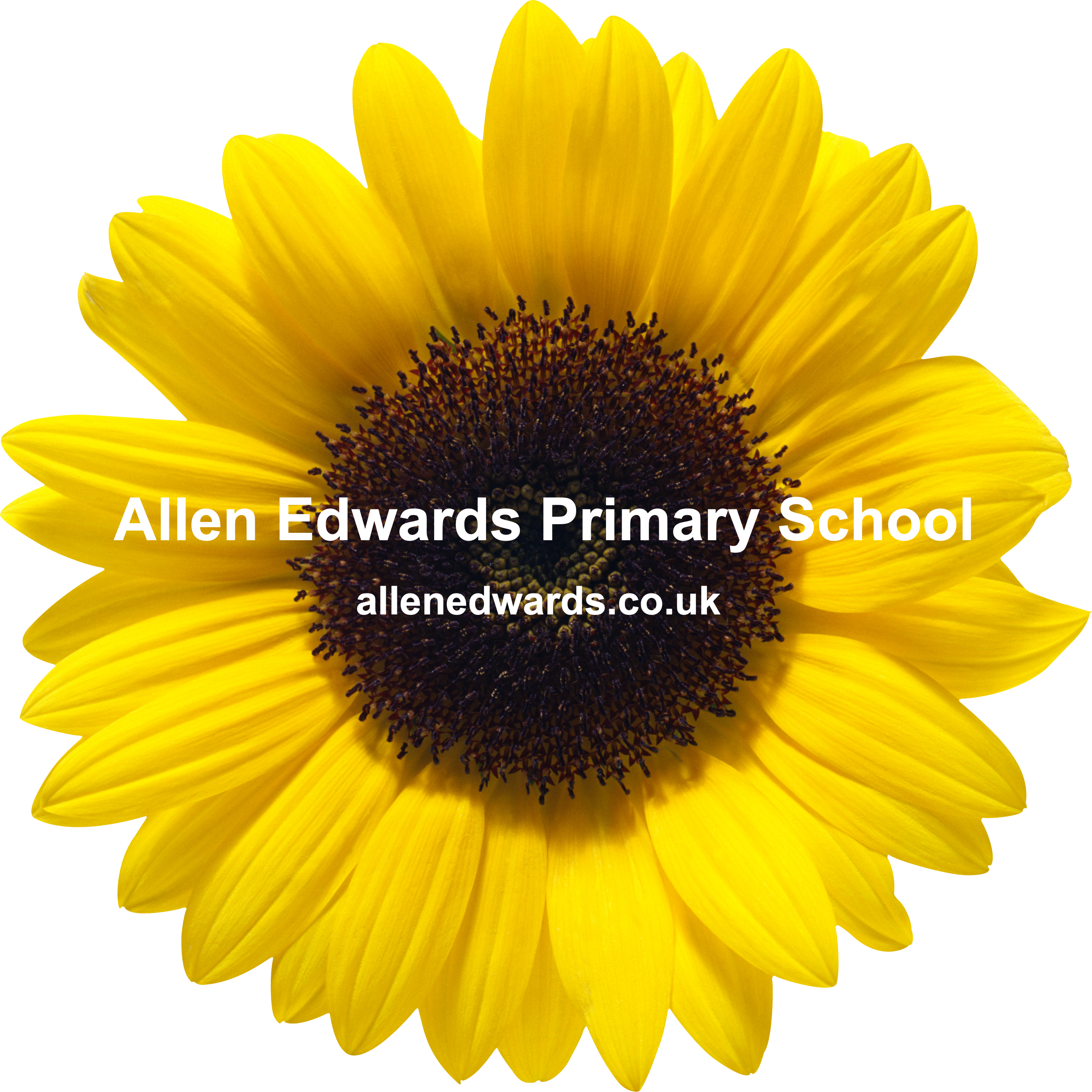 Curriculum Allen Edwards Primary School