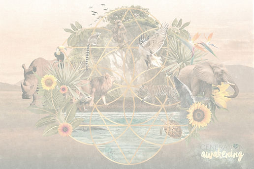 Generation.Awaken.Collage.Concpet_edited.jpg
