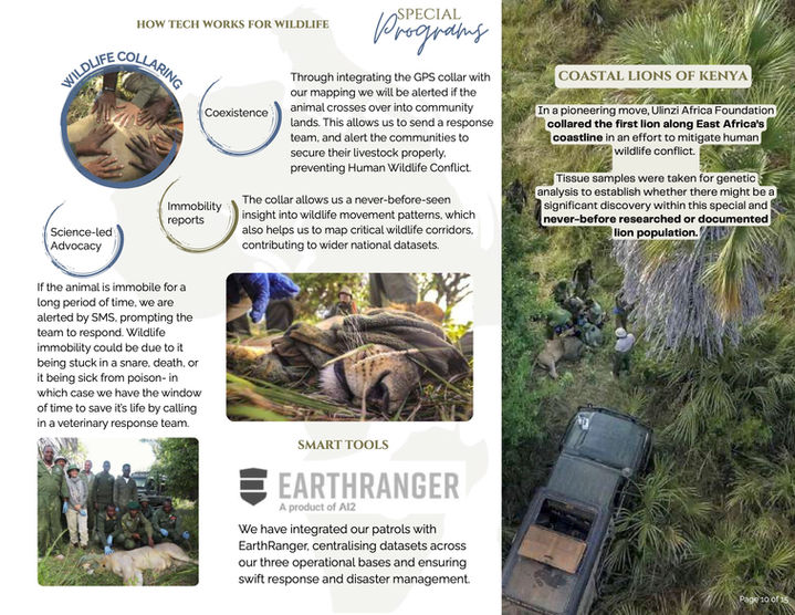 UAF Deck 2026-2027 7.jpg