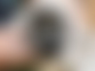 How many Vehicle numbers in Reading are registered?