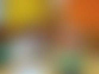 Conversar para comprender y cuidar la ciudad: el Distrito 1 y sus plazas en Santa Cruz Metropolitana