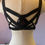 Thumbnail: The "Come Dance With Me" Harness
