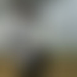 La musique et moi, là où tout à commencé: le choix de mon instrument.