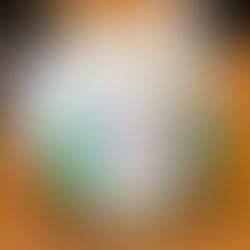 毎朝の習慣について