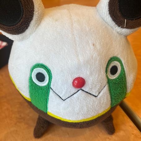 毎朝の習慣について