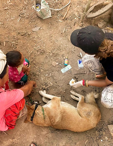 PHOTO-2025-11-25-17-12-10 2_edited.jpg