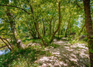 Goliad River House _ Bartee _ TB (36 of 66).jpg