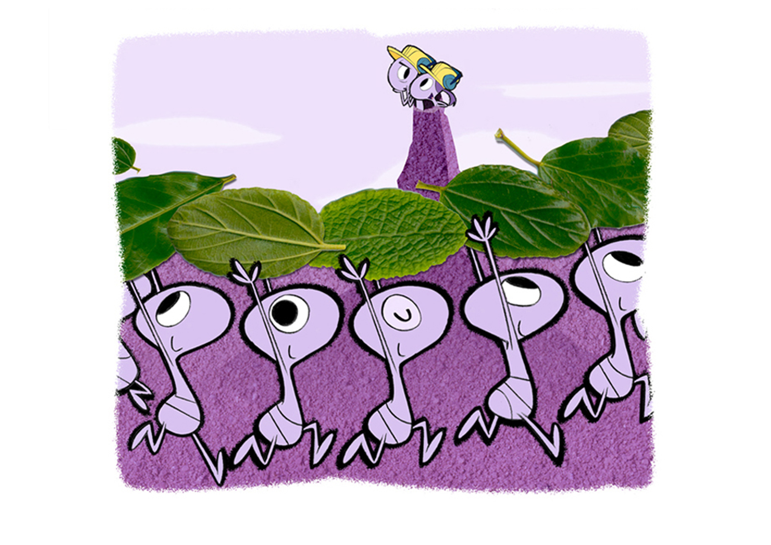 book illustration