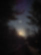 IMG_1599.jpeg
