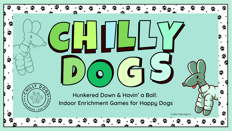 Winter Dog Enrichment Program | Chilly Dogs