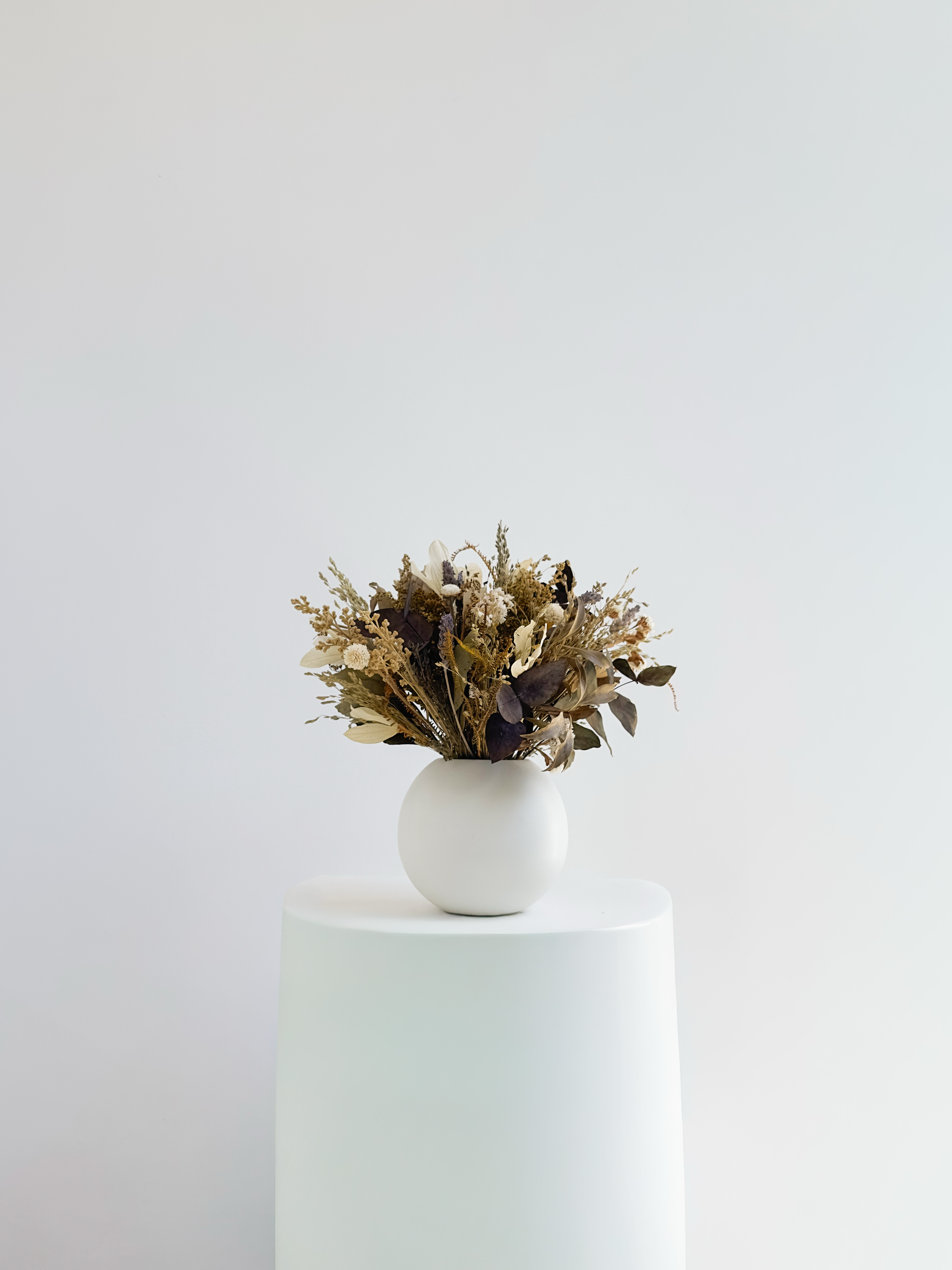 Composição Anigozanthos | Linha Jardim