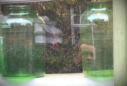 Paul In Jar