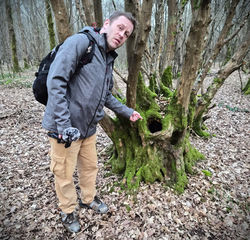 Paul Finds a Tree Hole