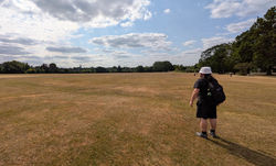 Barnet BIG Park