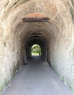 Possibly The Elephant Tunnel