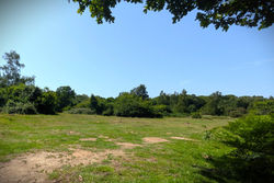The First Picnic Spot