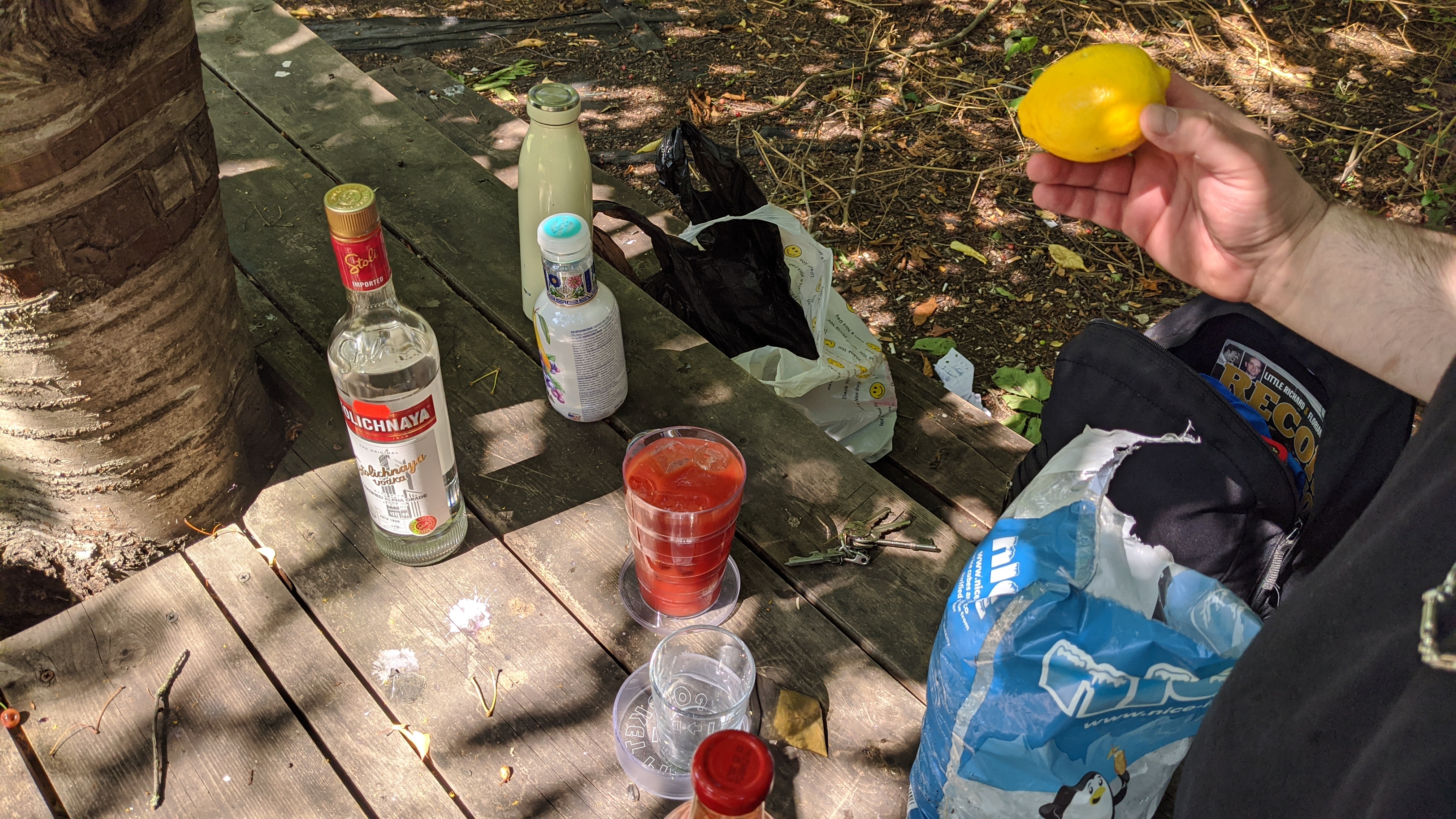 The Picnic Table