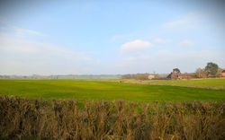 Another Nice Field