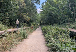 Parkland Platforms