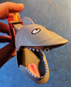 Shark Bite Other Angle