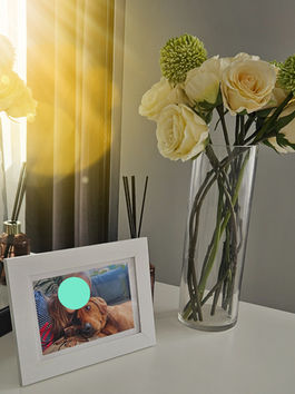 Creating a home from home
