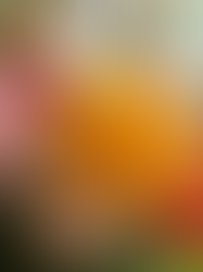 Same Day Flower Delivery in Toledo, OH