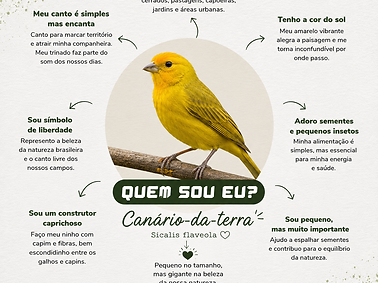 canary.png