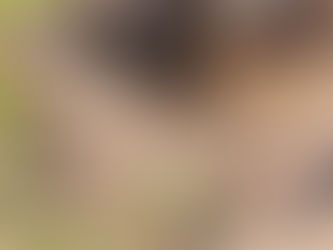 Yard Grading & Drainage Fixes in Parker, TX