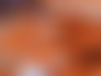 Professional Drainage Installation Services