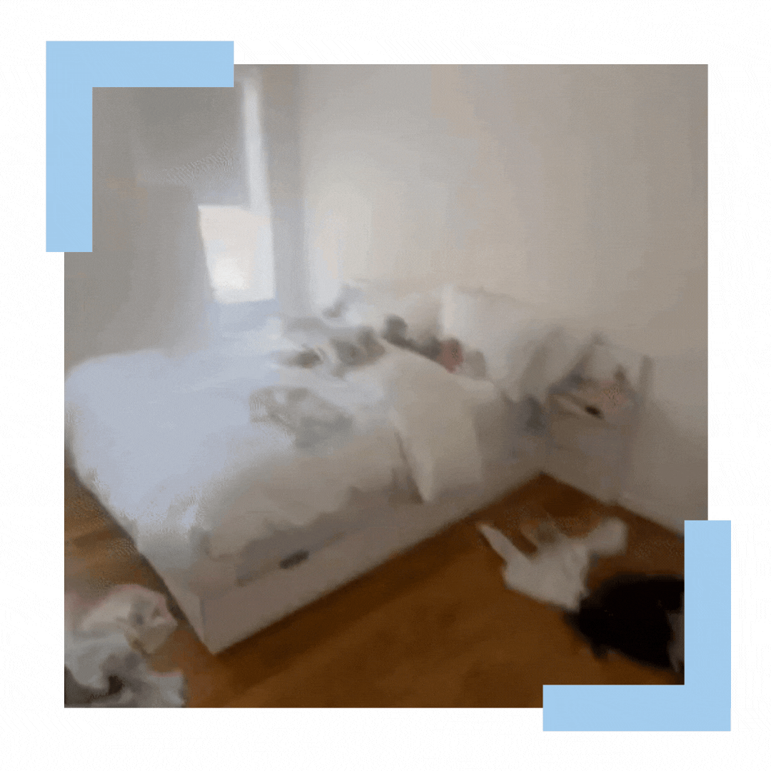 TRY CLEANING